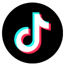 TikTok Logo